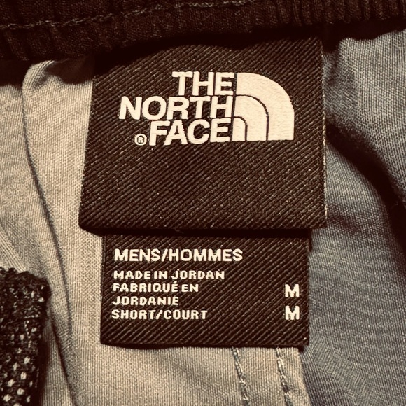 The North Face Dual Blue Shorts - Picture 3 of 4